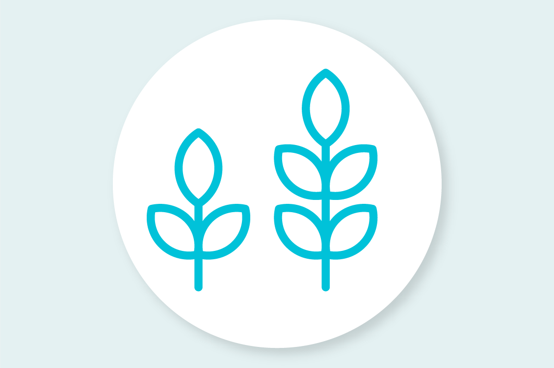 Mental Health Series ('23-'24 Services)