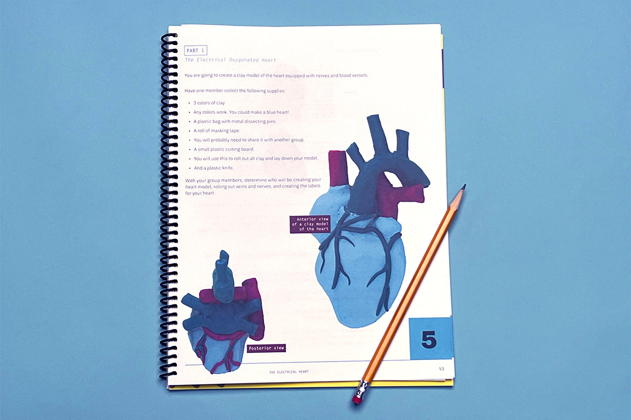 The Medical Mystery of Rosa Martinez (Student Edition, Spiral-Bound)
