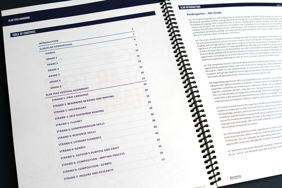 The Spanish Literacy Bundle