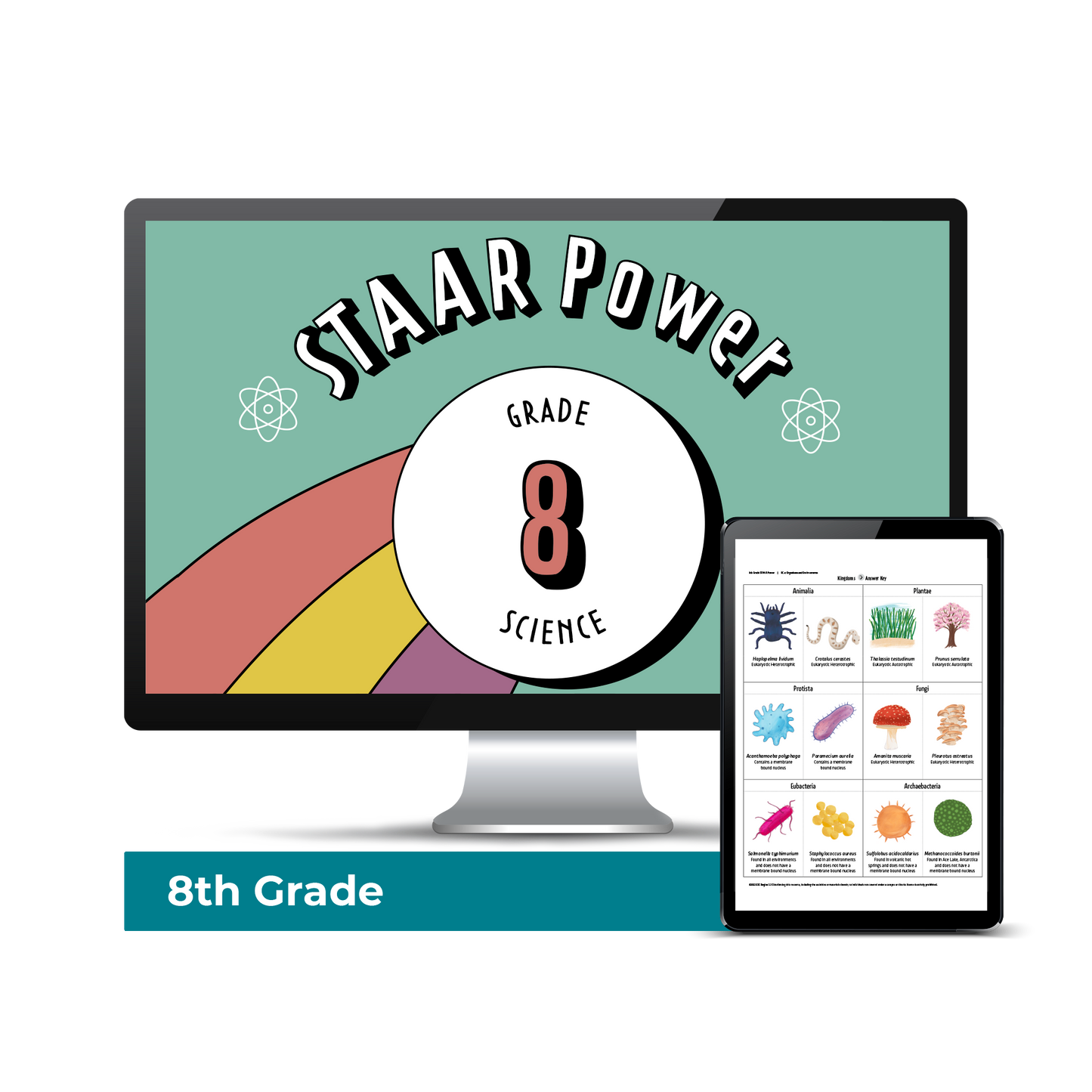 Computer screen with a preview of the downloadable PDF for the Science STAAR Power: Grade 8 product.