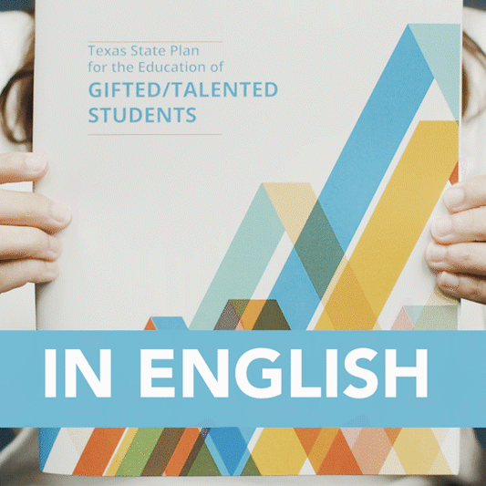 Texas State Plan for the Education of Gifted/Talented Students (Paperback)