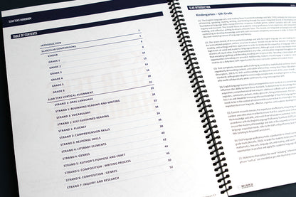 The Spanish Literacy Bundle