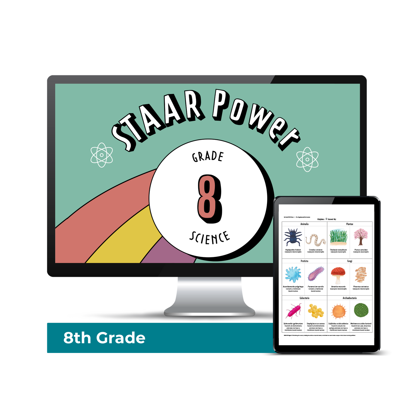 Computer screen with a preview of the downloadable PDF for the Science STAAR Power: Grade 8 product. 