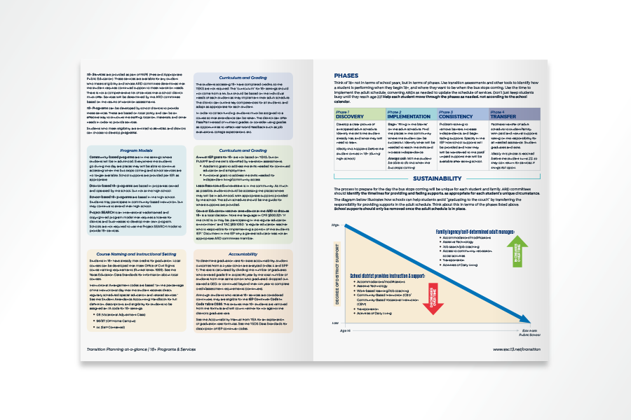 Transition Planning At-A-Glance Series:  18+ Programs and Services (Paperback)