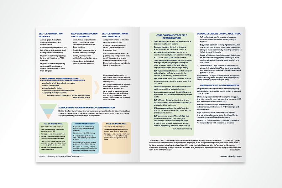 Transition Planning At-A-Glance Series:  Self-Determination (Paperback)