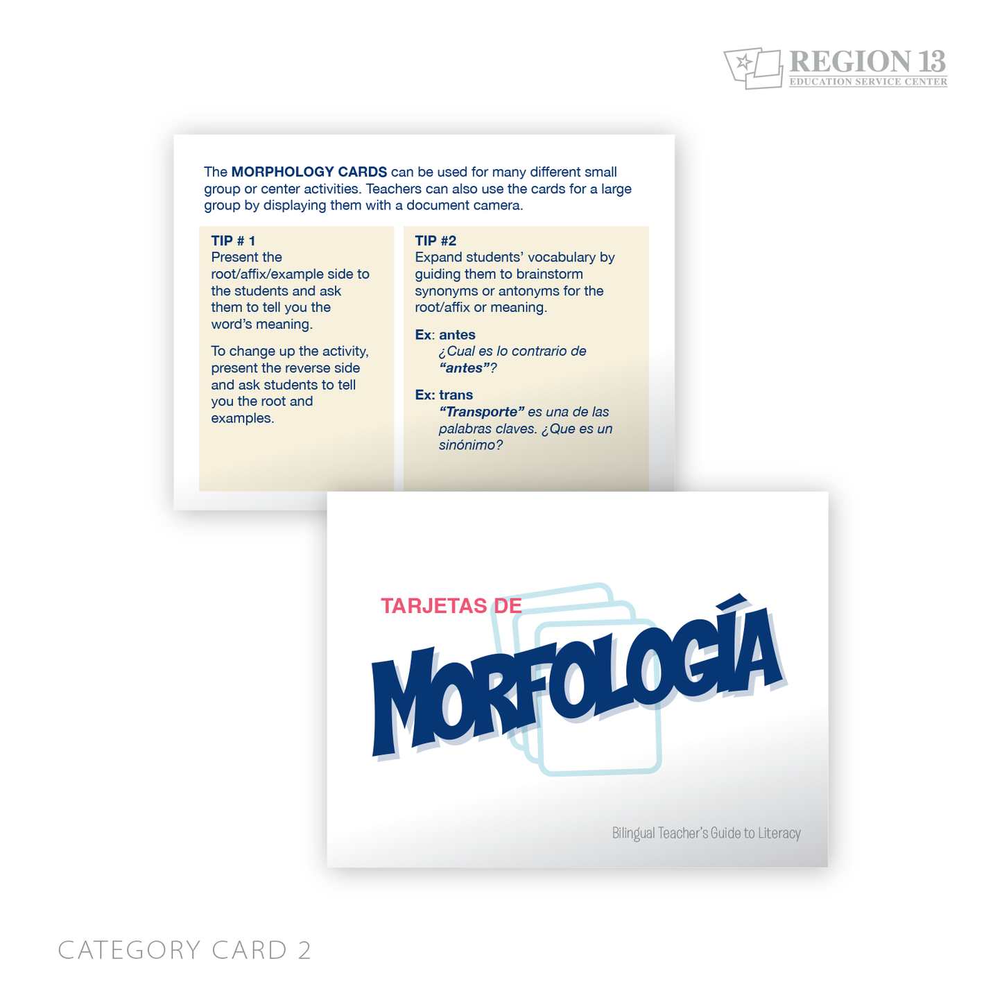 Spanish Word Study Cards - Phonics and Morphology (Downloadable PDFs)